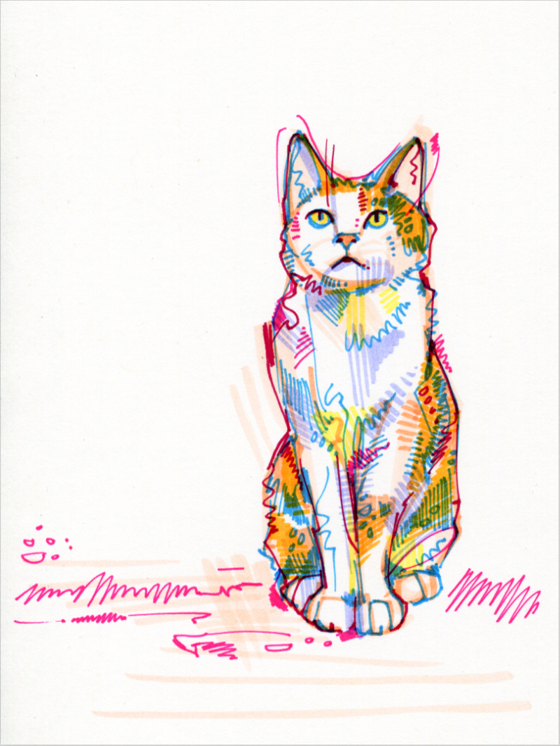 chat dessin en marqueur sur papier