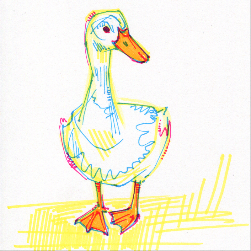 white duck illustration