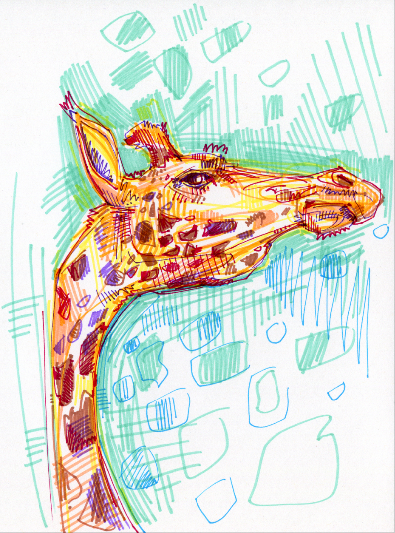 girafe illustration