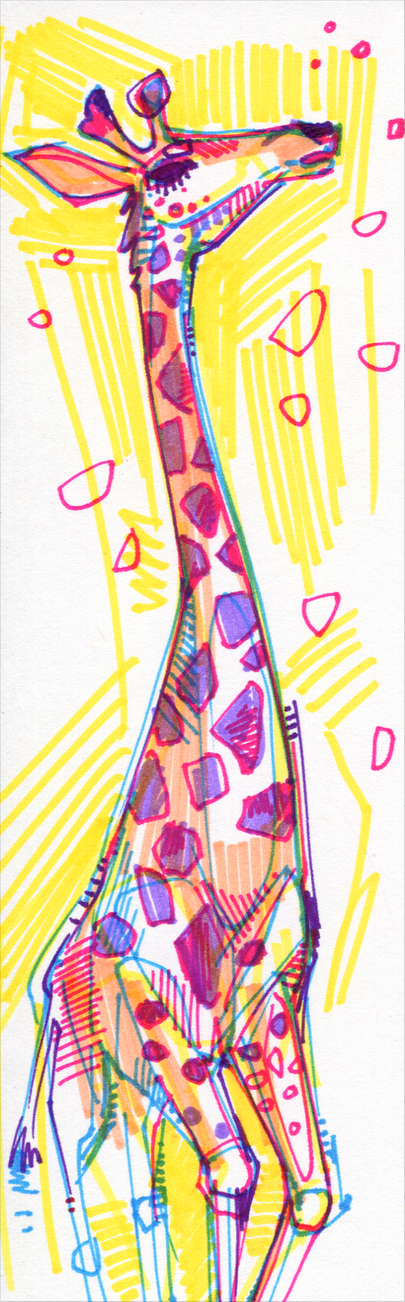 girafe illustration