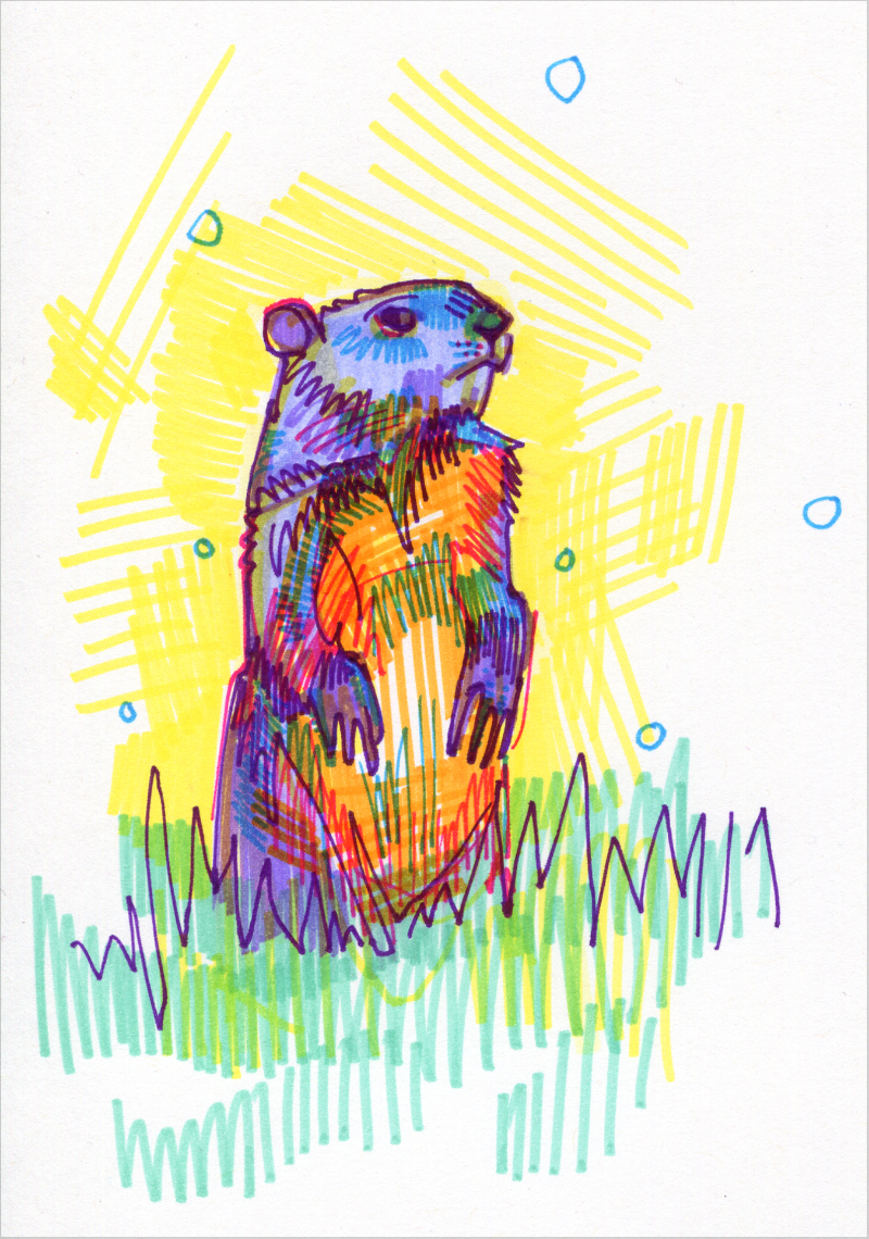 groundhog colorful drawing