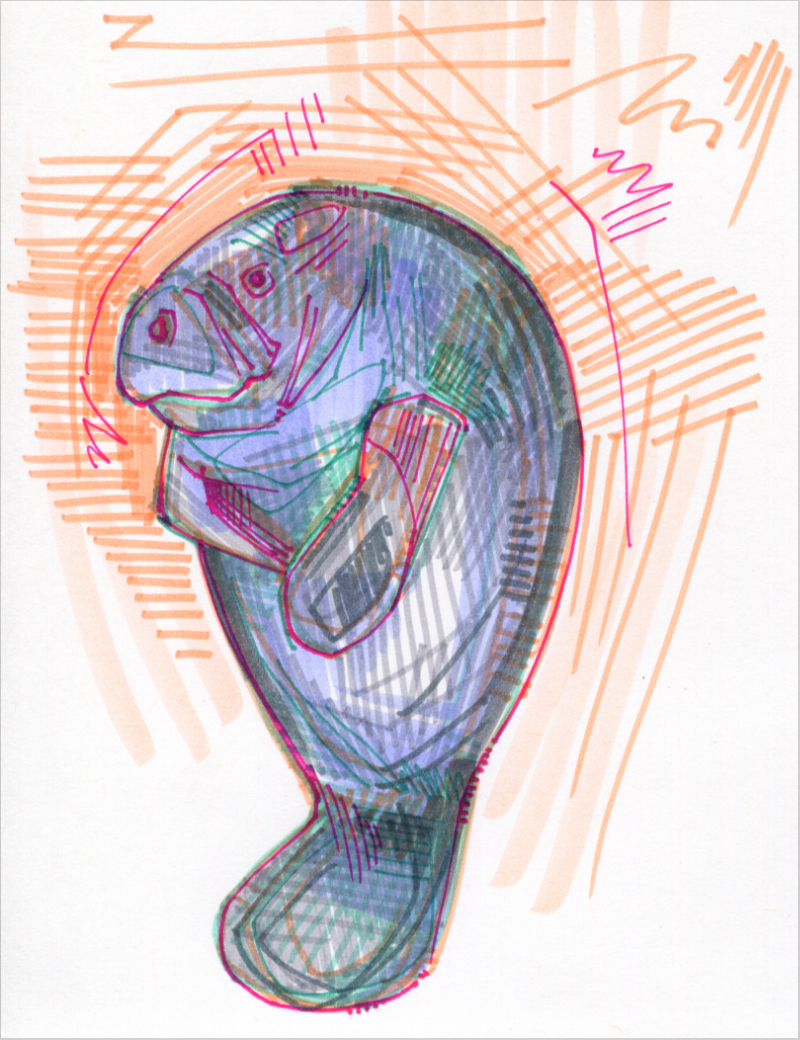 manatee colorful drawing