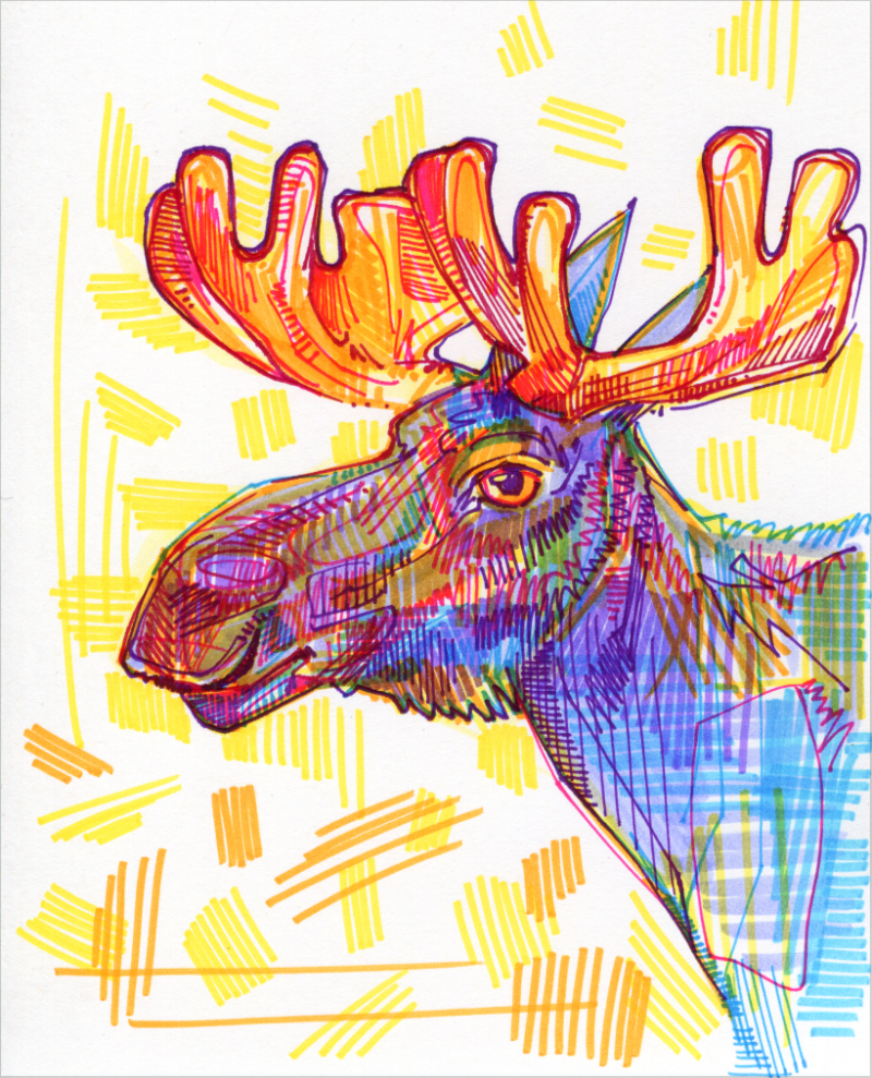 moose colorful drawing