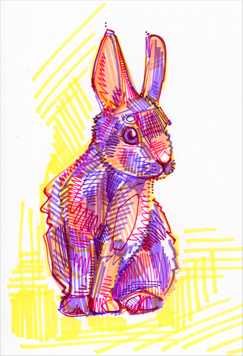 rabbit colorful drawing