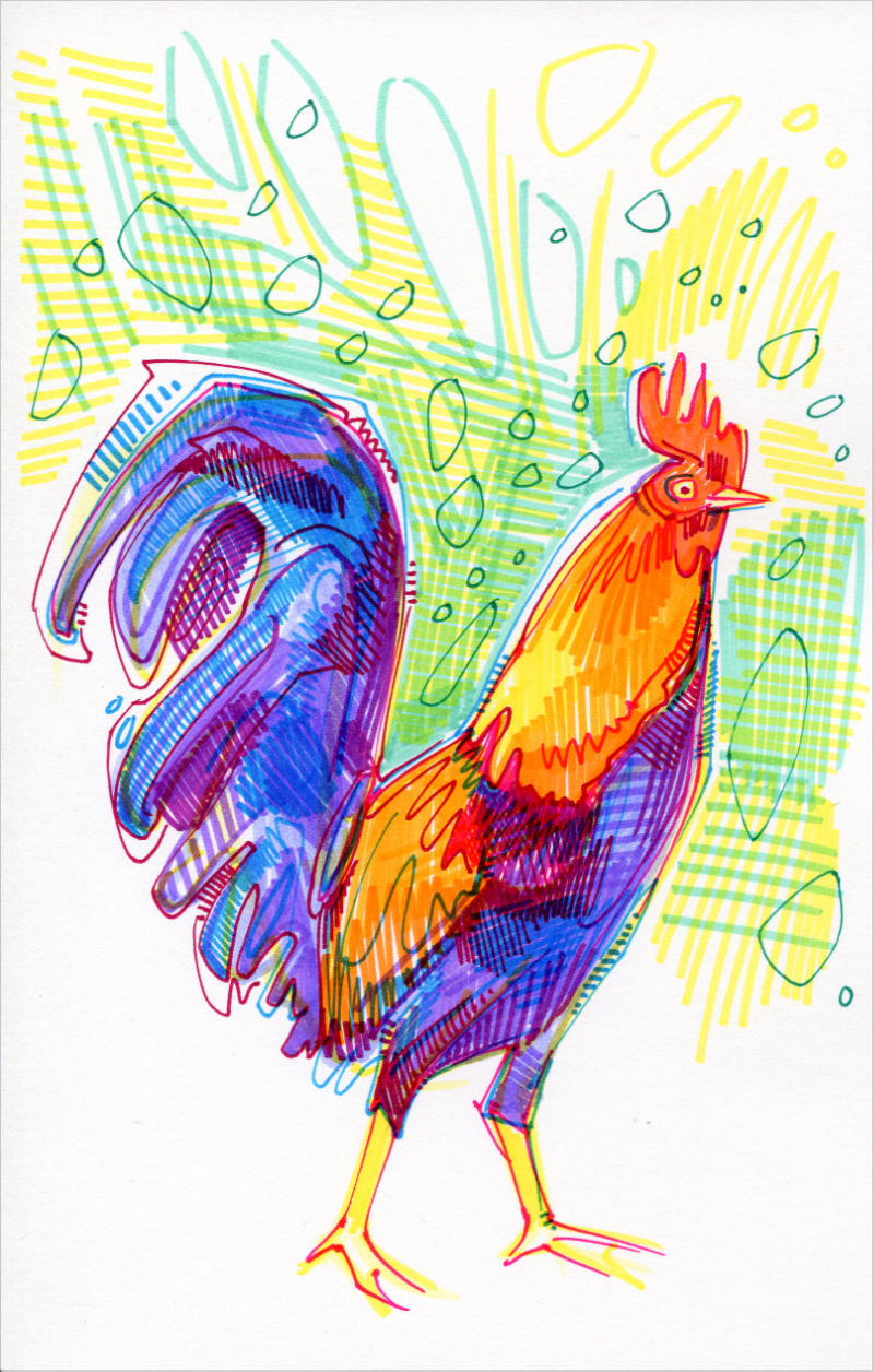 rooster drawing