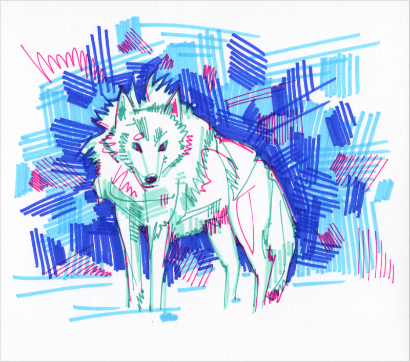 arctic wolf drawing
