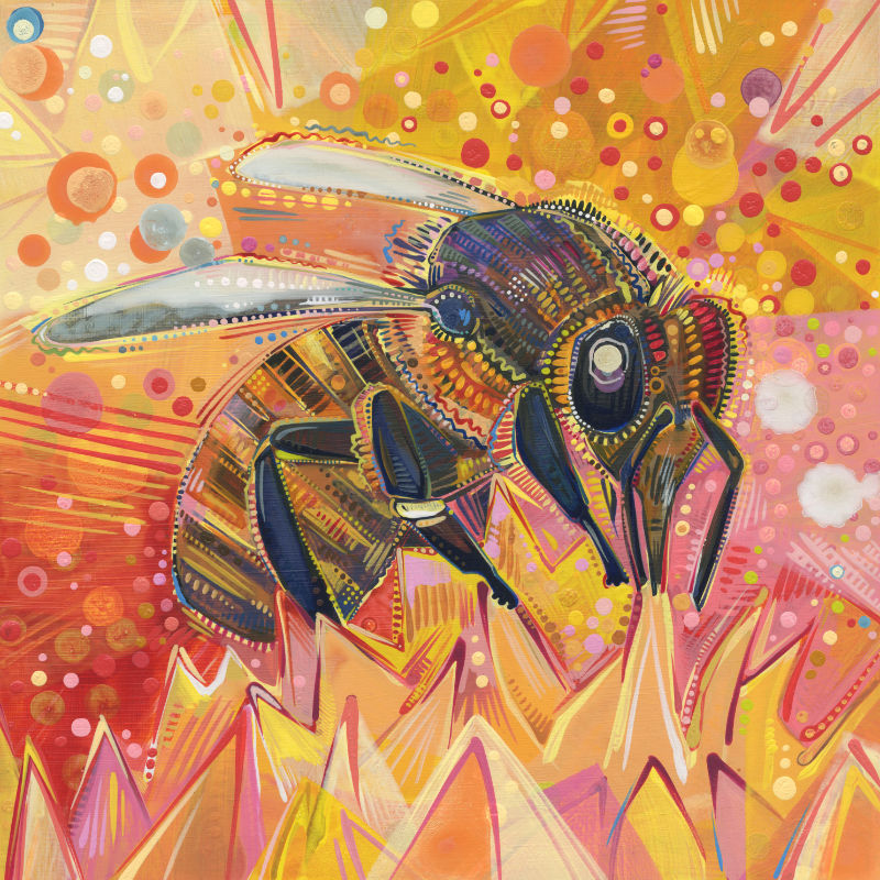 painting of a Western honey bee