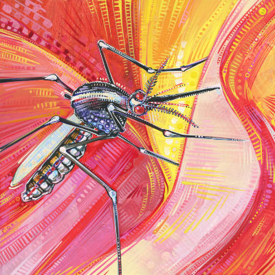 close up painting of a mosquito