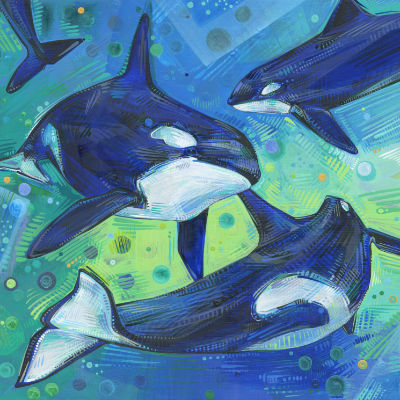 orcas playing together, painted in acrylic