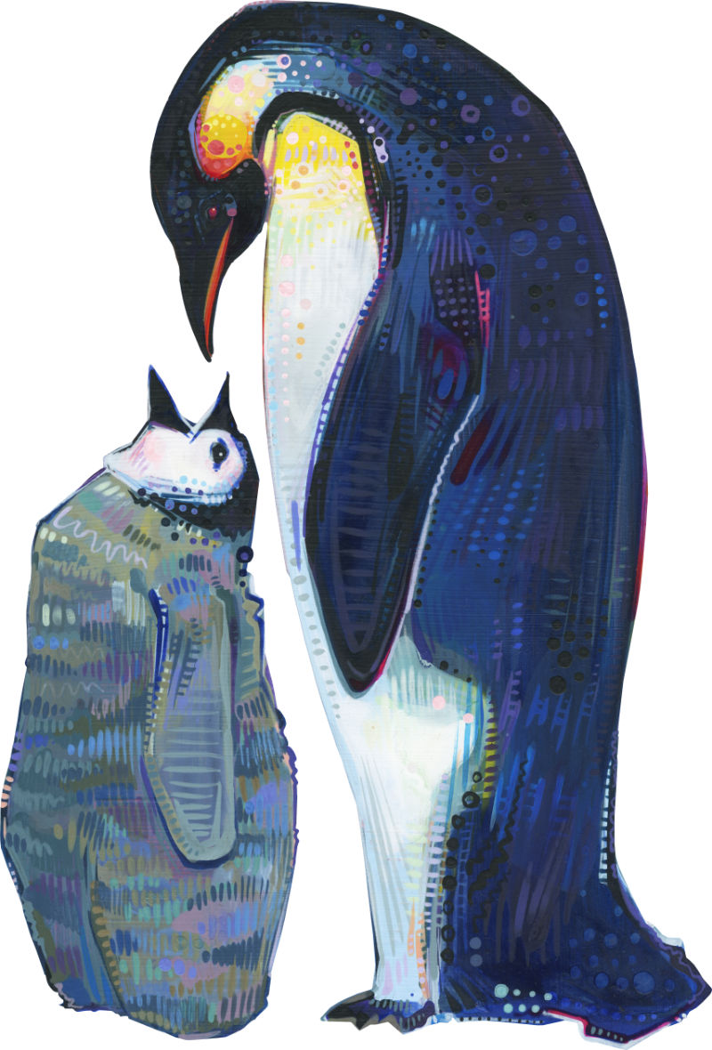 petit pingouin avec son parent