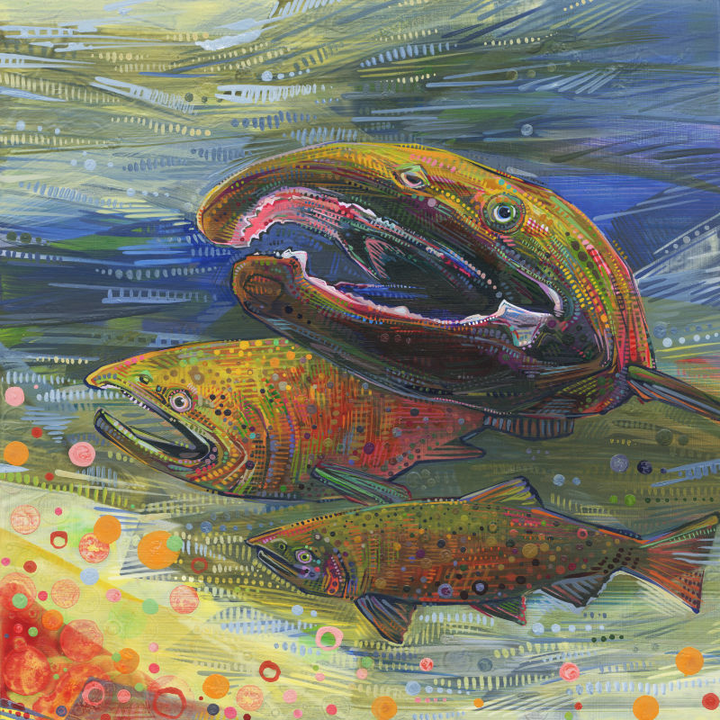painting of all three Coho salmon genders