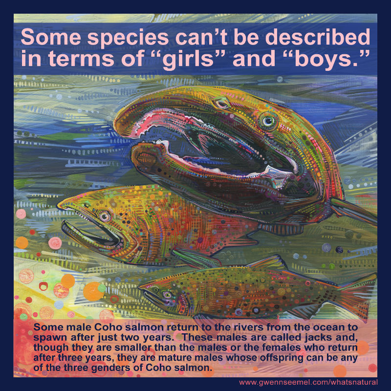 some species can’t be described in terms of “girls” and “boys”