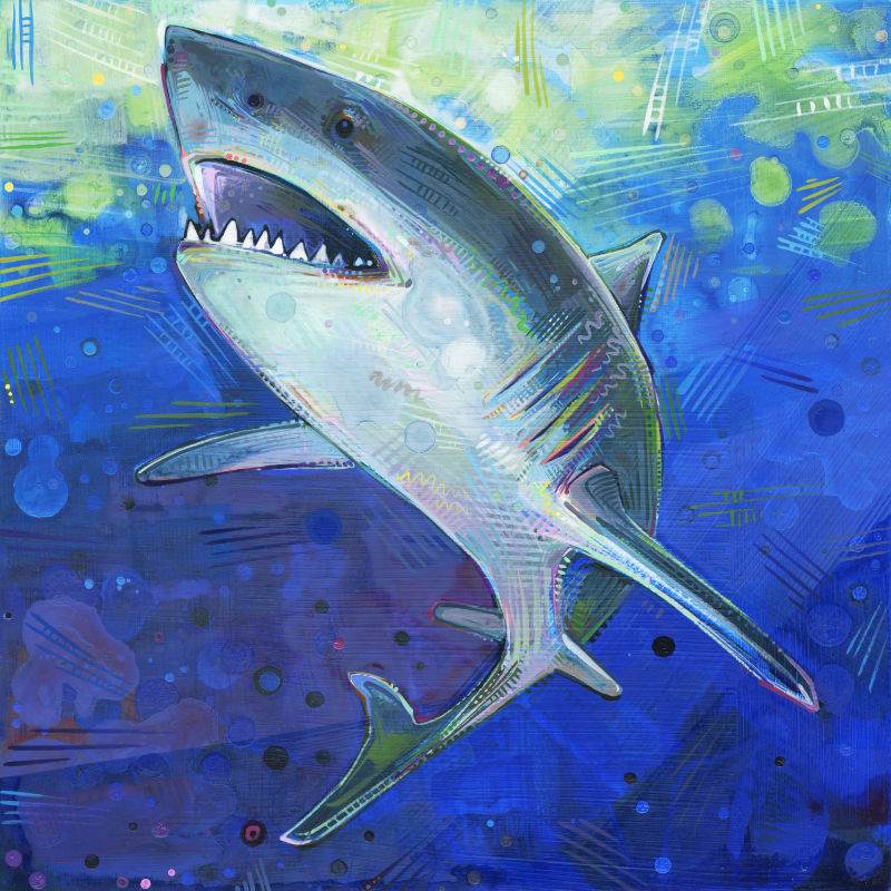 painting of a great white shark
