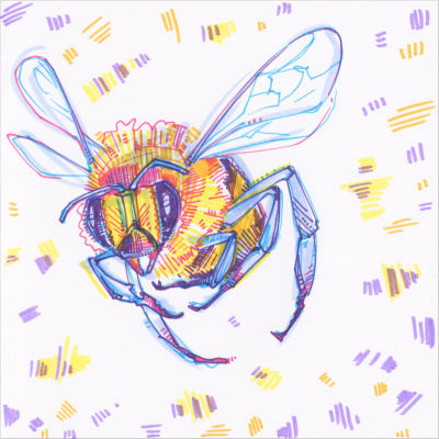 bee drawing in marker on paper