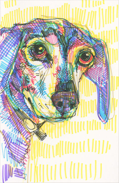 illustration en marqueur sur papier chien