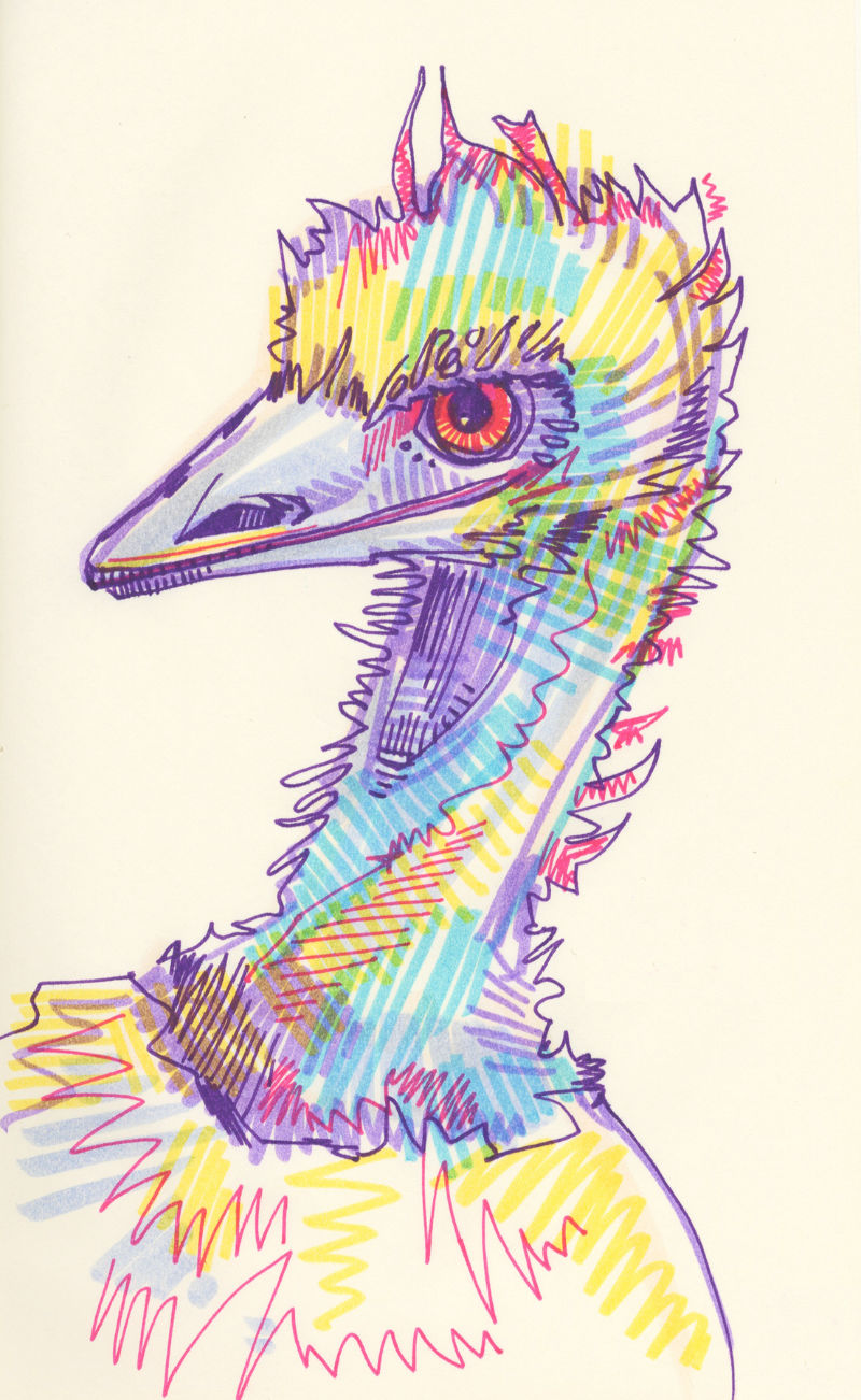 emu drawing in marker on paper