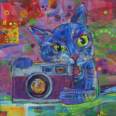 cat chewing on a camera art