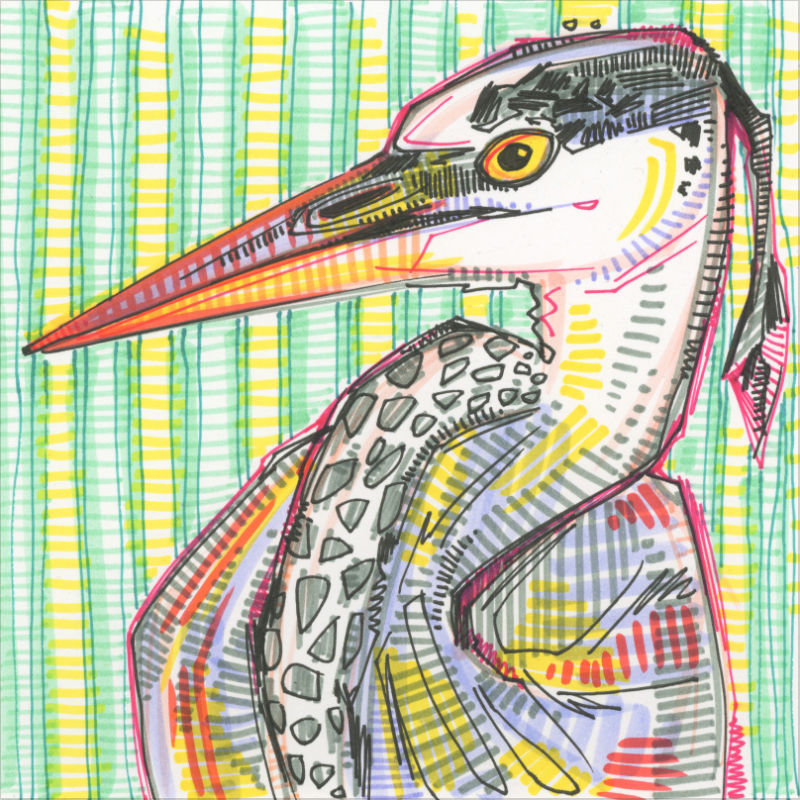 drawing of a heron