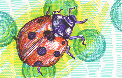 ladybug artwork drawing
