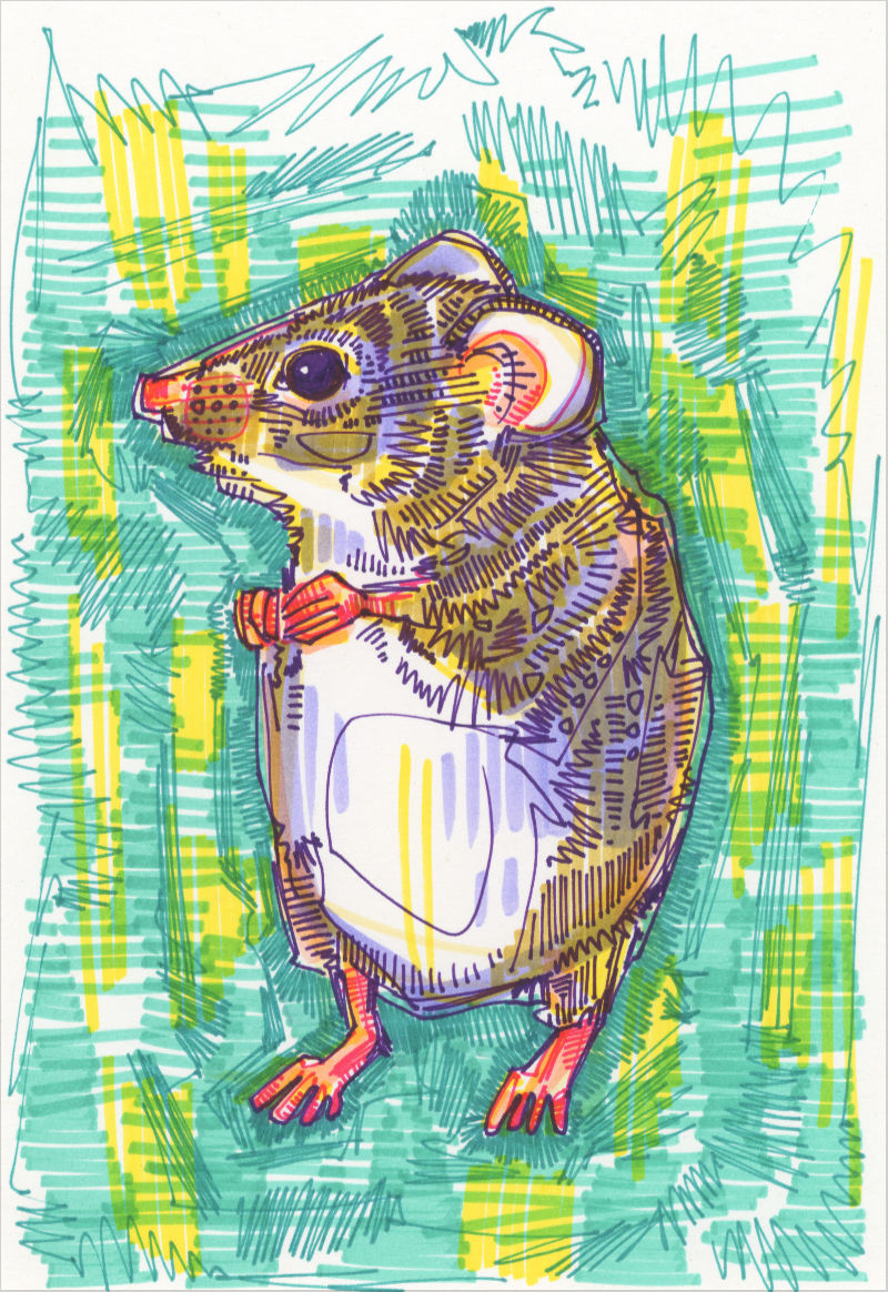 drawing of a harvest mouse