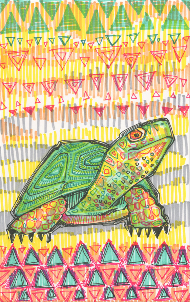 drawing of a turtle