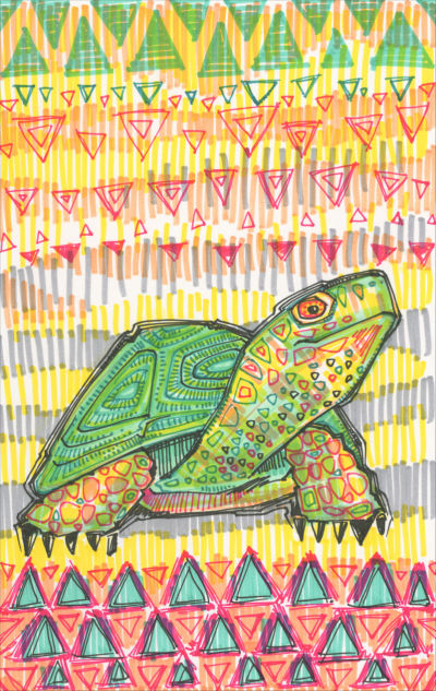 dessin d’une tortue par l’artiste animalier Gwenn Seemel