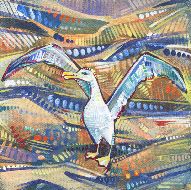 albatros peint en acrylique