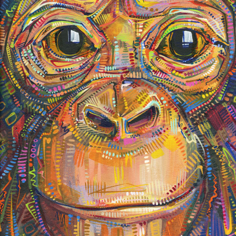 chimpanzee by Gwenn Seemel