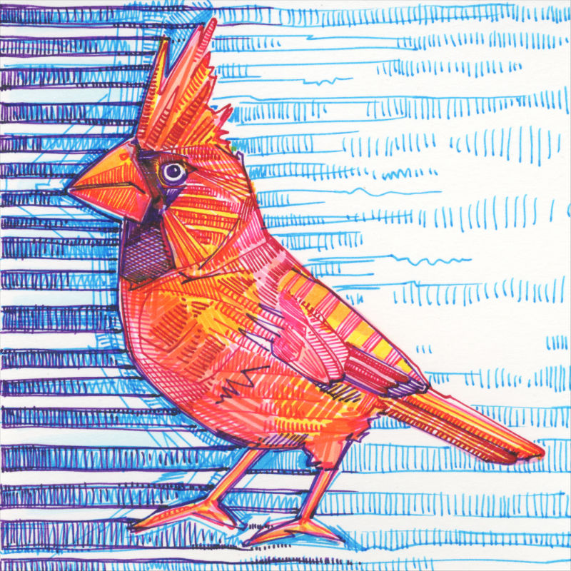 dessin d’un cardinal, un oiseau rouge