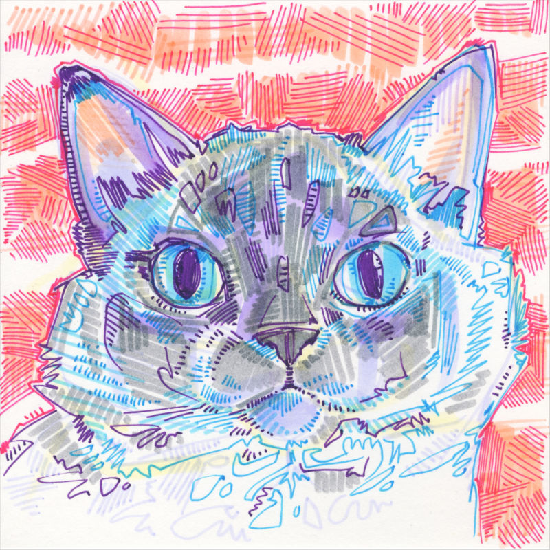 drawing of a ragdoll cat