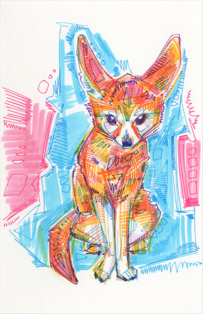 fennec fox drawing by wildlife artist Gwenn Seemel