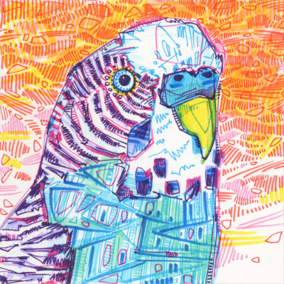 parakeet drawing in marker on paper