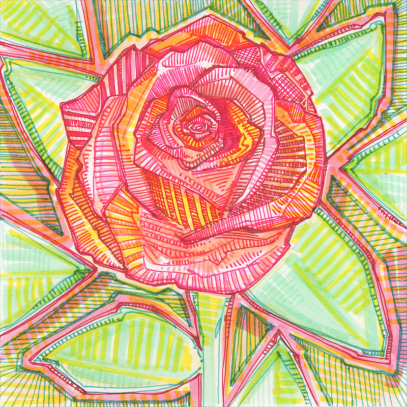 dessin d’une rose