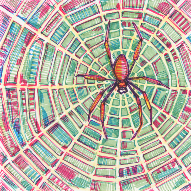 drawing of a spider in its web
