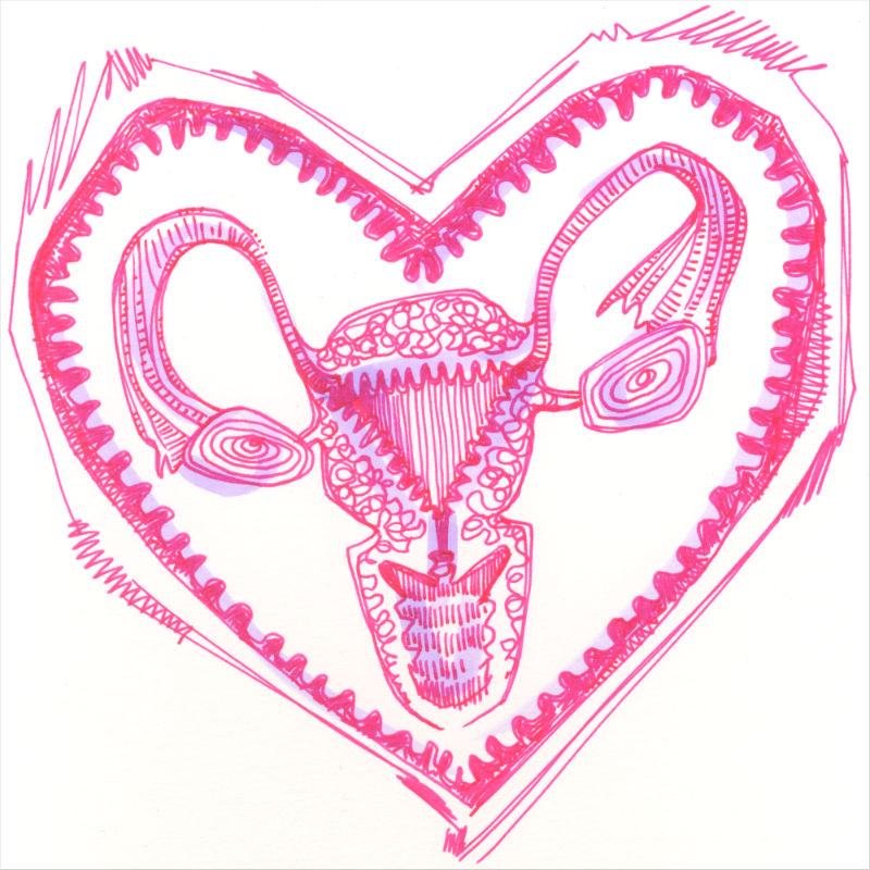 drawing of a uterus by feminist artist Gwenn Seemel