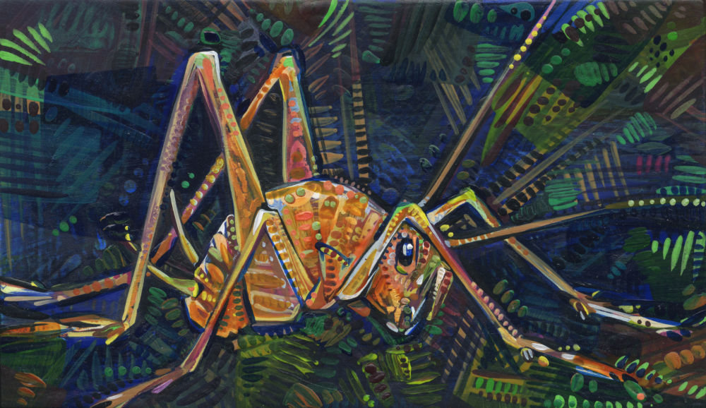camel cricket seen from the side, painted in browns and surrounded by dark colors