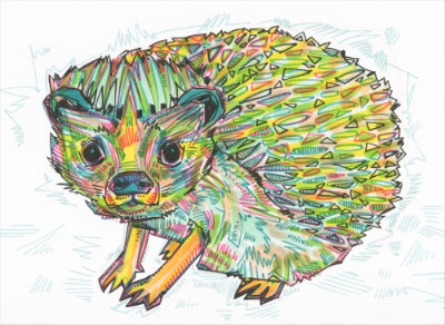 hedgehog art illustration