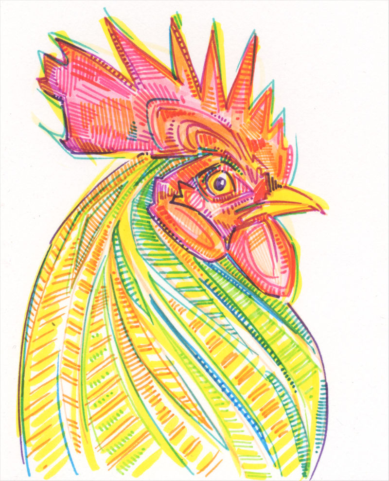 a colorful crosshatched drawing of the profile of a rooster