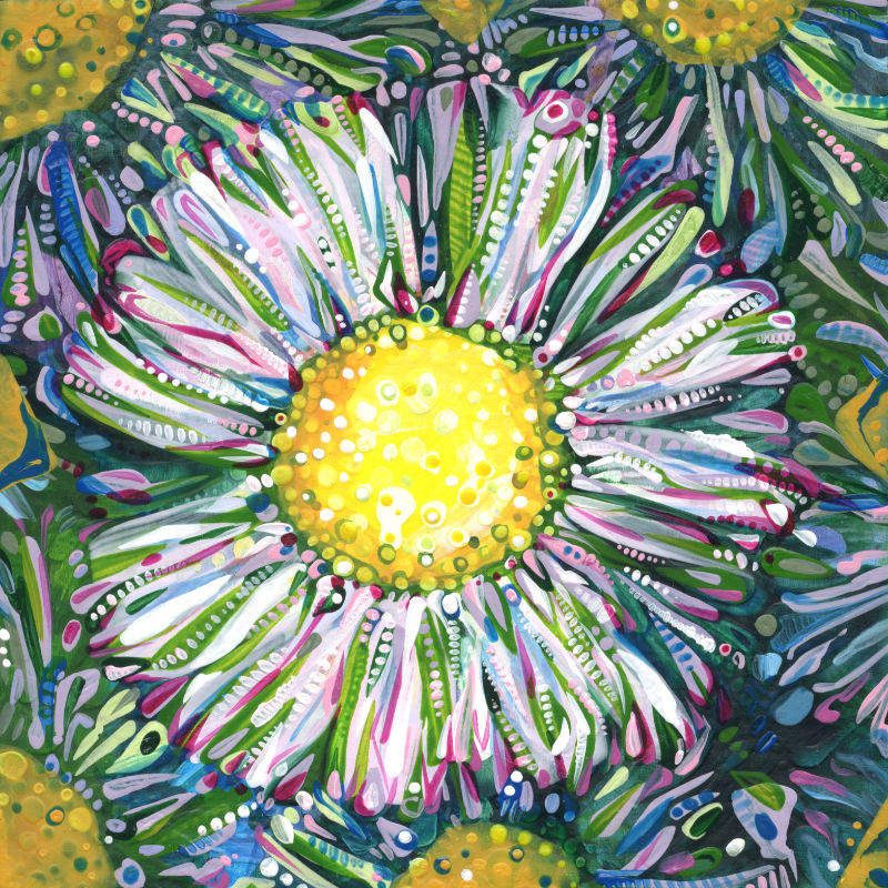 Philadelphia Fleabane flower illustration