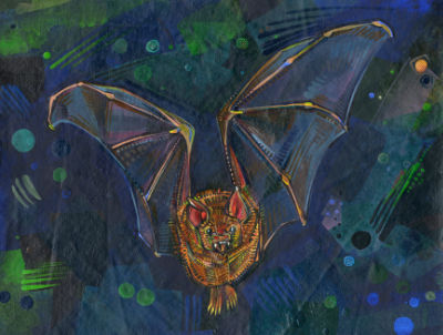 bat flying art