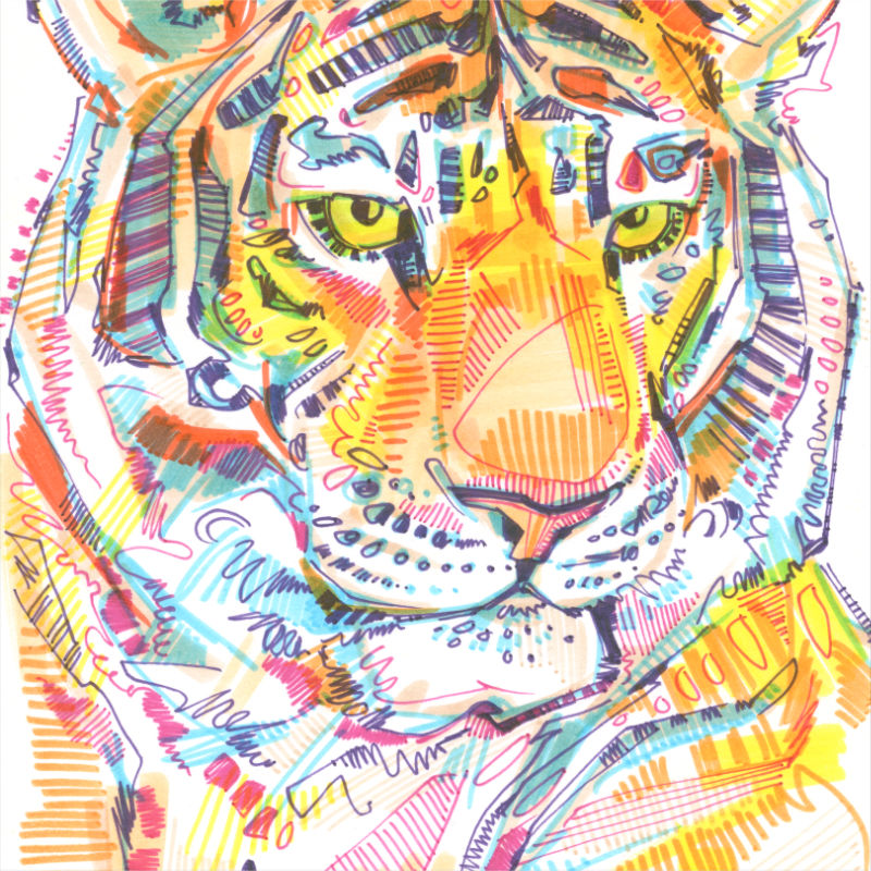 marker drawing of a tiger by Gwenn Seemel