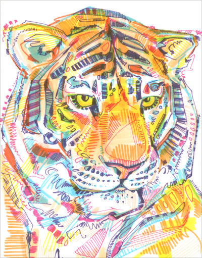 dessin d’un tigre par Gwenn Seemel