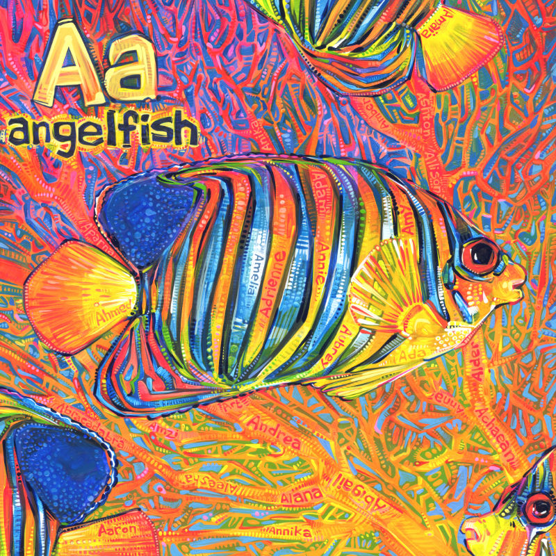 regal angelfish, colorful wildlife art