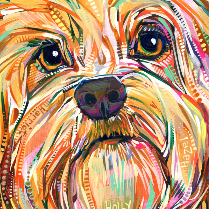 un chien bichon havanais peint par Gwenn Seemel