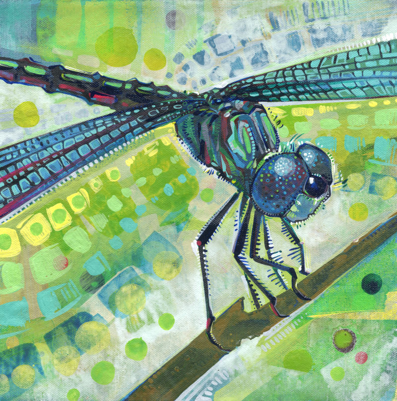 dragonfly painting by American artist Gwenn Seemel