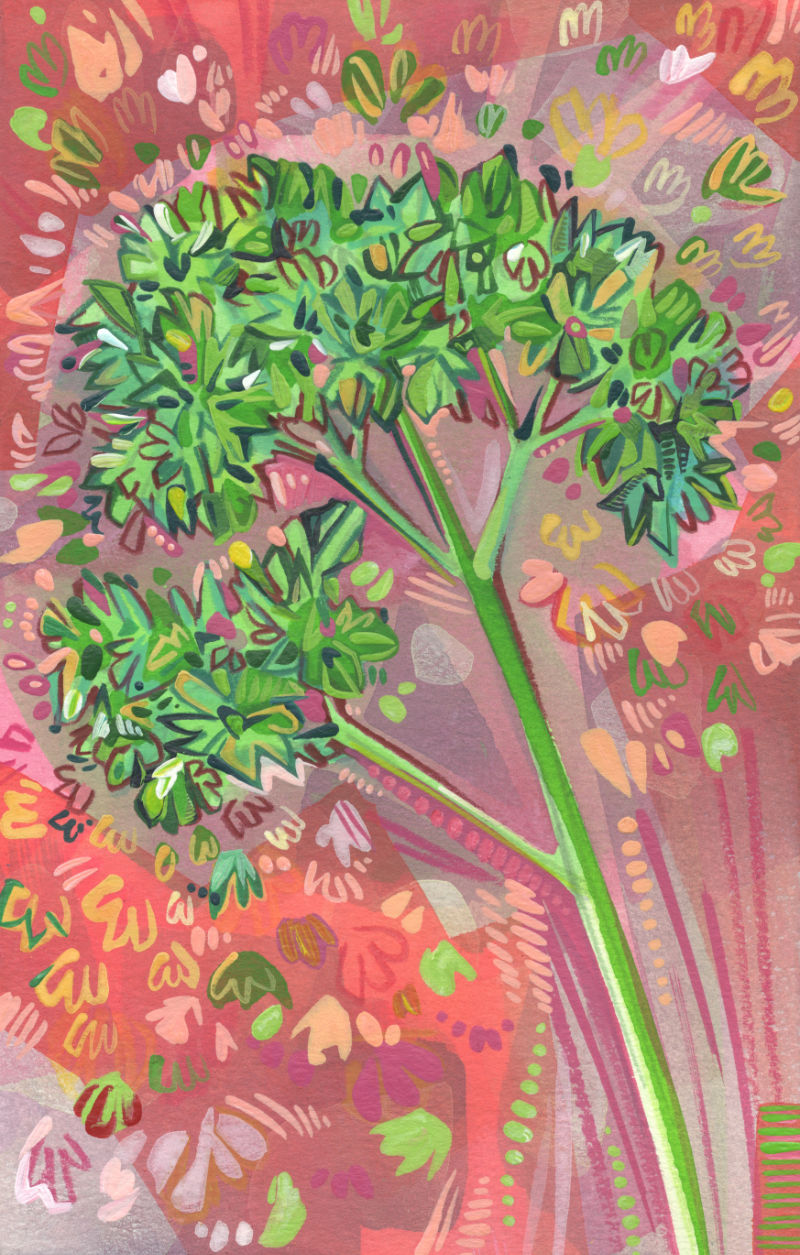 painting of some parsley
