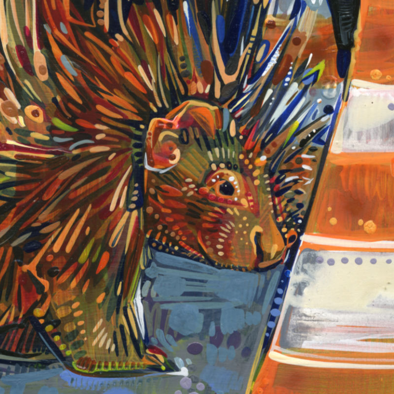 porcupine face, detail of a larger painting by Gwenn Seemel