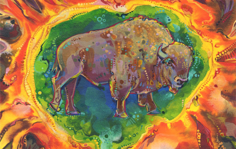 rainbow buffalo art with Yellowstone Grand Prismatic in the background
