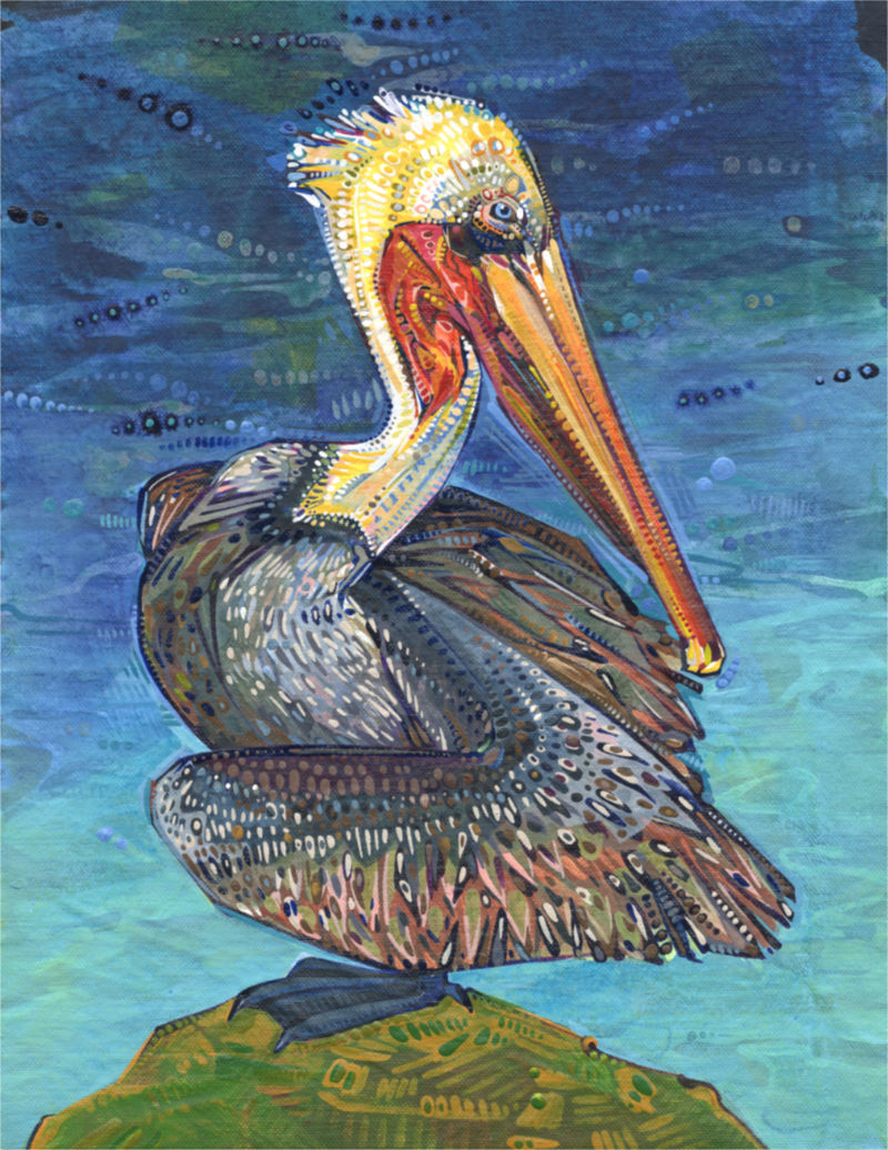 pelican perched on a rock, illustration in acrylic on canvas