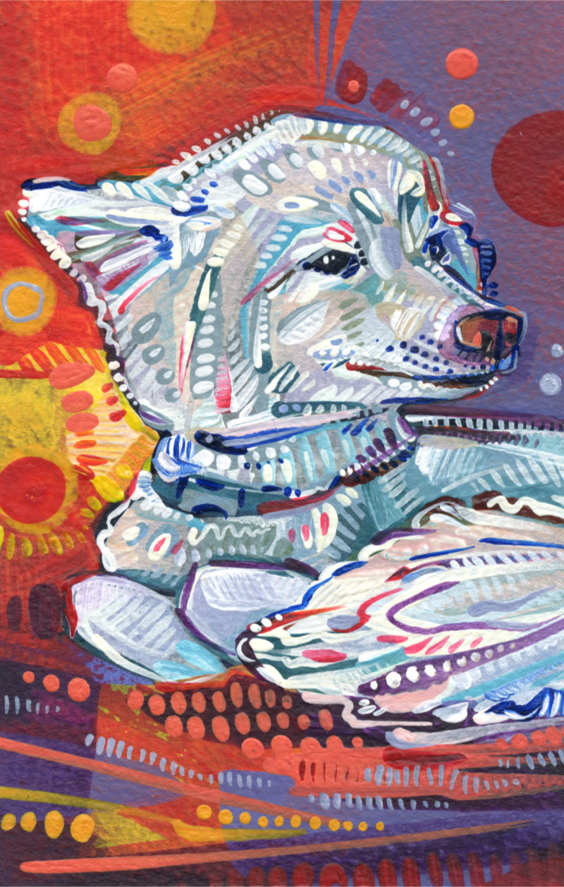 little white fluffy dog acrylic painting by pet artist Gwenn Seemel
